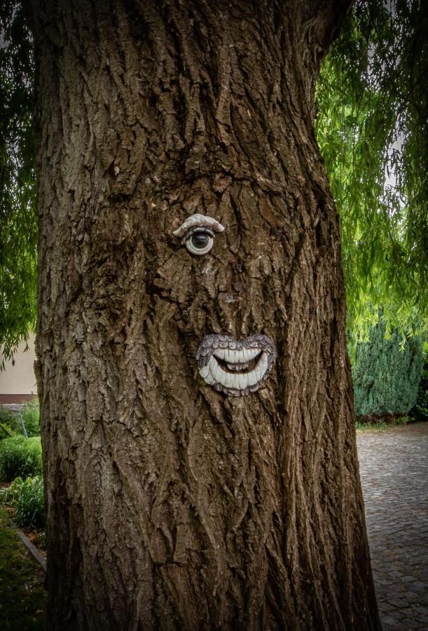 Storchennest Spreewald 호텔 베츠쇼우 외부 사진